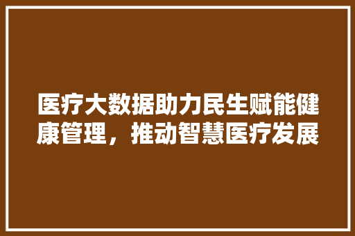 医疗大数据助力民生赋能健康管理，推动智慧医疗发展  第1张