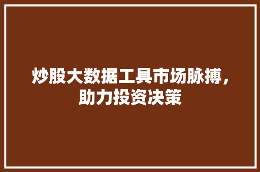 炒股大数据工具市场脉搏，助力投资决策