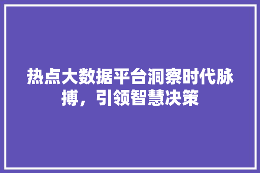 热点大数据平台洞察时代脉搏，引领智慧决策