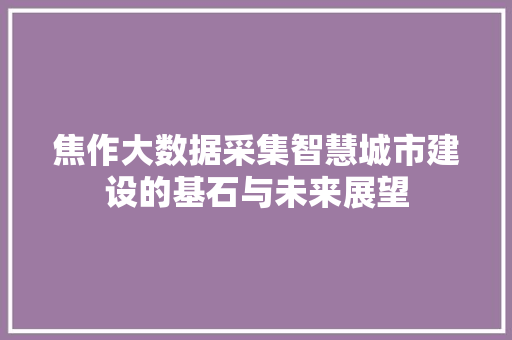 焦作大数据采集智慧城市建设的基石与未来展望