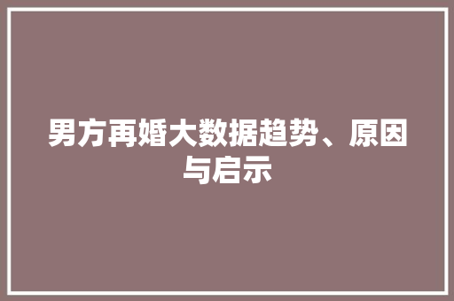 男方再婚大数据趋势、原因与启示