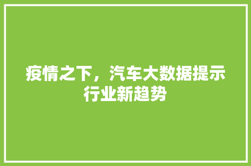 疫情之下，汽车大数据提示行业新趋势  第1张