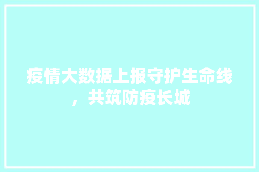 疫情大数据上报守护生命线，共筑防疫长城  第1张