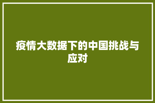 疫情大数据下的中国挑战与应对  第1张