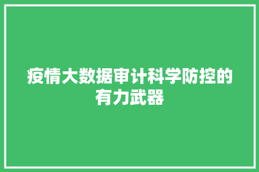 疫情大数据审计科学防控的有力武器