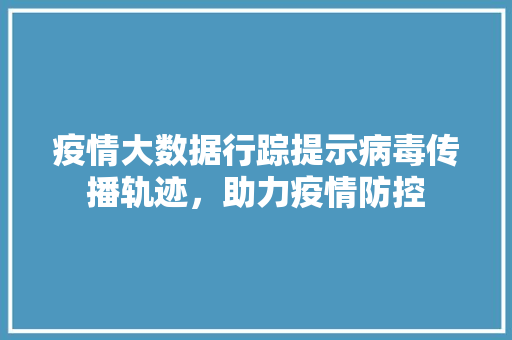 疫情大数据行踪提示病毒传播轨迹，助力疫情防控  第1张