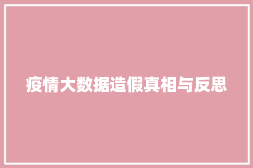 疫情大数据造假真相与反思  第1张