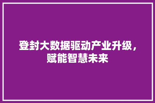 登封大数据驱动产业升级，赋能智慧未来  第1张