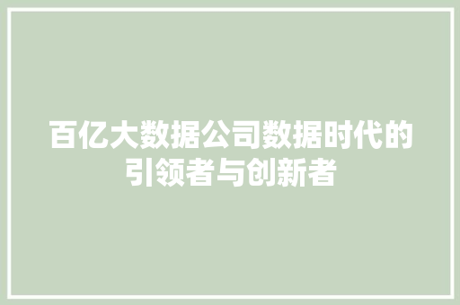 百亿大数据公司数据时代的引领者与创新者
