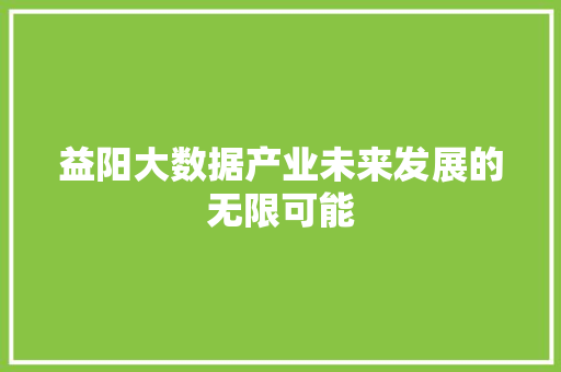益阳大数据产业未来发展的无限可能  第1张