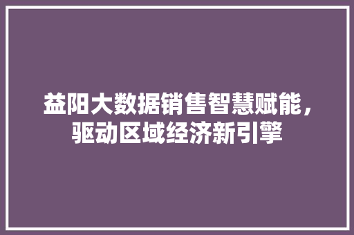 益阳大数据销售智慧赋能，驱动区域经济新引擎  第1张