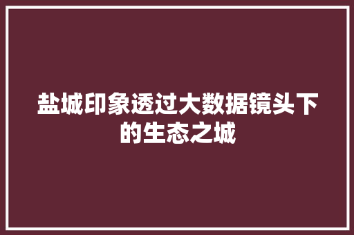 盐城印象透过大数据镜头下的生态之城