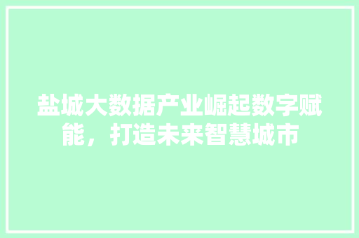 盐城大数据产业崛起数字赋能，打造未来智慧城市  第1张