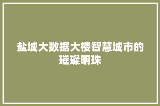 盐城大数据大楼智慧城市的璀璨明珠  第1张