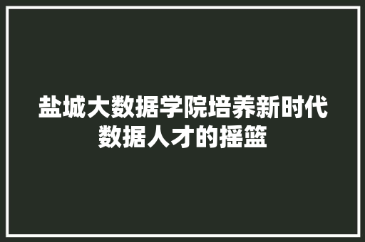 盐城大数据学院培养新时代数据人才的摇篮  第1张