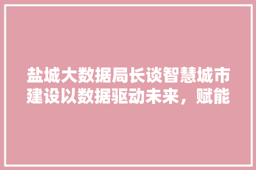 盐城大数据局长谈智慧城市建设以数据驱动未来，赋能高质量发展