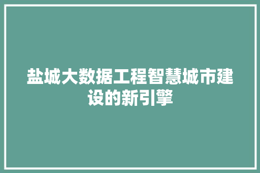 盐城大数据工程智慧城市建设的新引擎  第1张