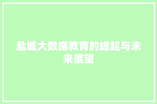 盐城大数据教育的崛起与未来展望  第1张