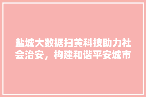 盐城大数据扫黄科技助力社会治安，构建和谐平安城市