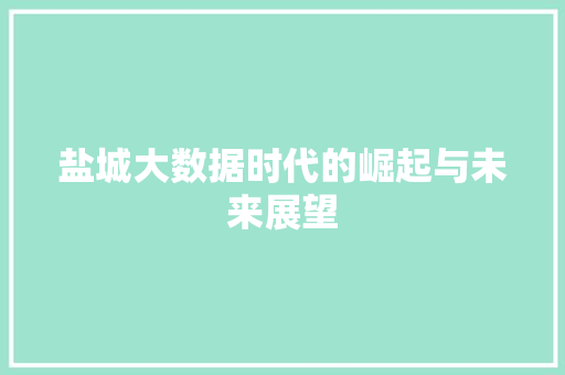 盐城大数据时代的崛起与未来展望  第1张