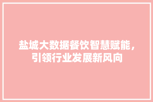 盐城大数据餐饮智慧赋能，引领行业发展新风向  第1张