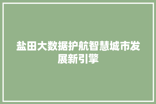 盐田大数据护航智慧城市发展新引擎
