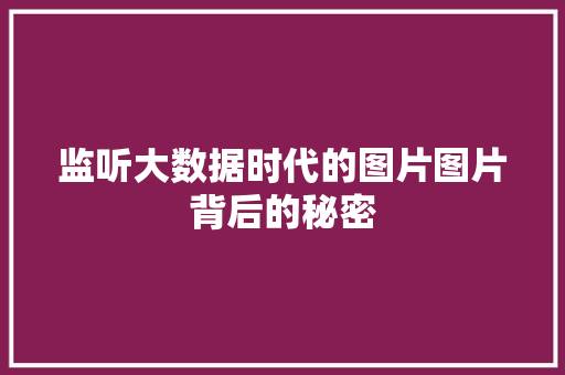 监听大数据时代的图片图片背后的秘密