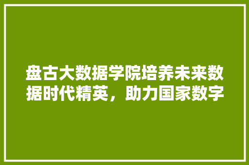 盘古大数据学院培养未来数据时代精英，助力国家数字经济崛起