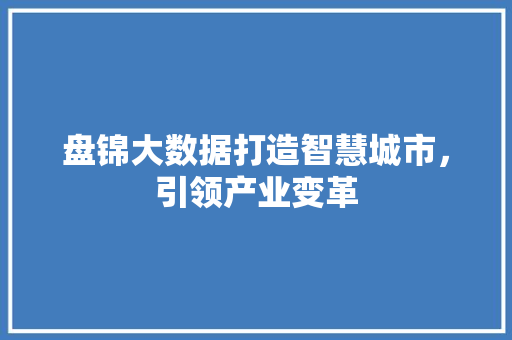 盘锦大数据打造智慧城市，引领产业变革