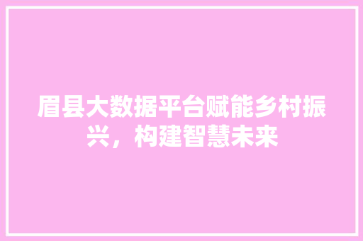 眉县大数据平台赋能乡村振兴，构建智慧未来  第1张