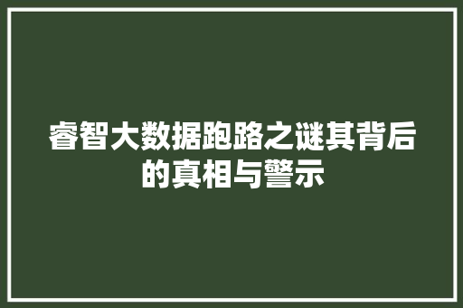 睿智大数据跑路之谜其背后的真相与警示  第1张