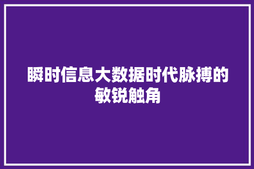 瞬时信息大数据时代脉搏的敏锐触角