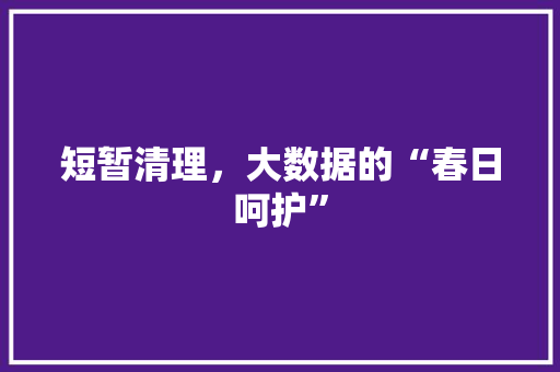 短暂清理，大数据的“春日呵护”