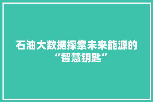 石油大数据探索未来能源的“智慧钥匙”  第1张