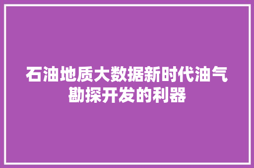 石油地质大数据新时代油气勘探开发的利器