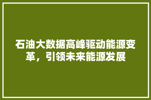 石油大数据高峰驱动能源变革，引领未来能源发展  第1张