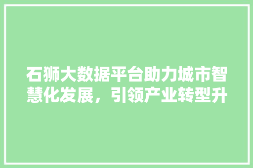 石狮大数据平台助力城市智慧化发展，引领产业转型升级  第1张