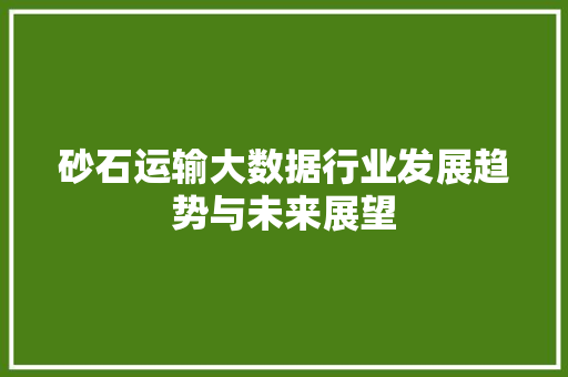 砂石运输大数据行业发展趋势与未来展望  第1张