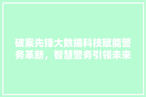 破案先锋大数据科技赋能警务革新，智慧警务引领未来