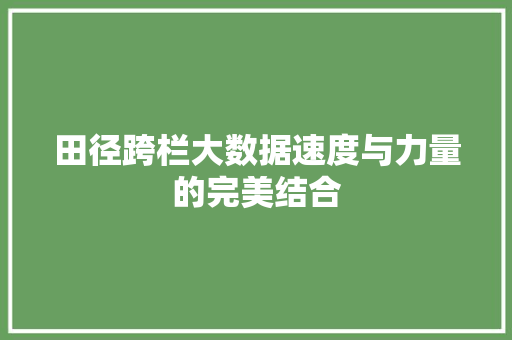 田径跨栏大数据速度与力量的完美结合