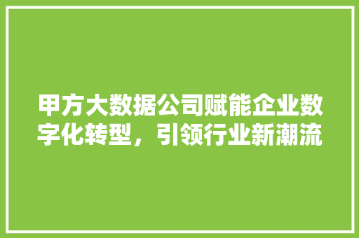 甲方大数据公司赋能企业数字化转型，引领行业新潮流