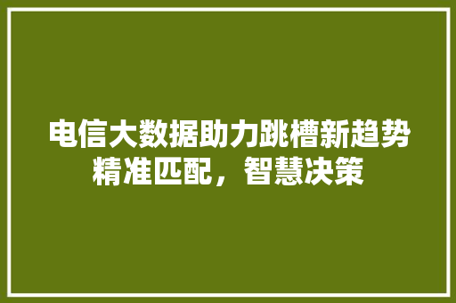 电信大数据助力跳槽新趋势精准匹配，智慧决策