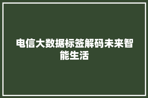 电信大数据标签解码未来智能生活