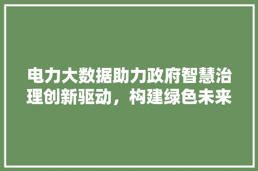 电力大数据助力政府智慧治理创新驱动，构建绿色未来  第1张