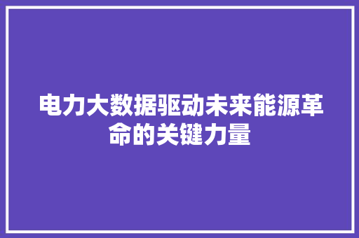 电力大数据驱动未来能源革命的关键力量