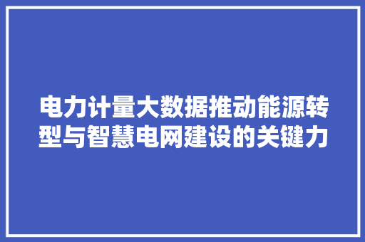 电力计量大数据推动能源转型与智慧电网建设的关键力量