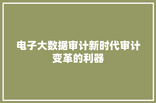 电子大数据审计新时代审计变革的利器  第1张