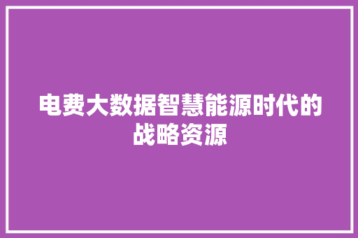 电费大数据智慧能源时代的战略资源