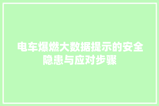 电车爆燃大数据提示的安全隐患与应对步骤  第1张