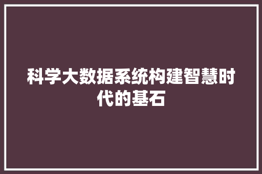 科学大数据系统构建智慧时代的基石
